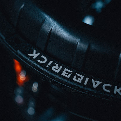 POWERHOUSE 12" Subwoofer